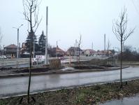 Imagine atasata: 20251224_163344.jpg